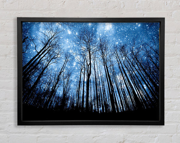 Starry Night In The Forest Framed Print