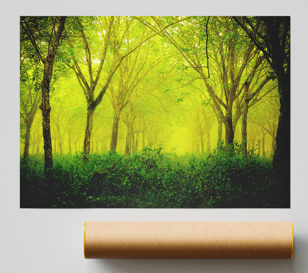 Stunning Green Forest Giclee Print