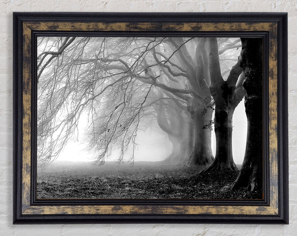 Heavy Branches Framed Print