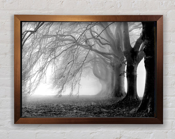Heavy Branches Framed Print