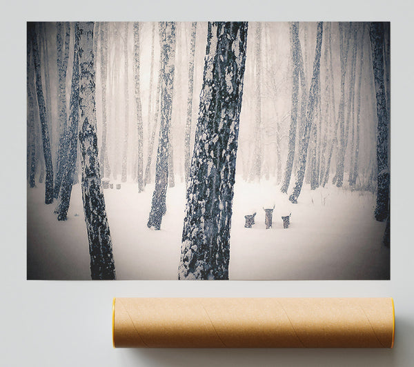 Forest Snowing Poster