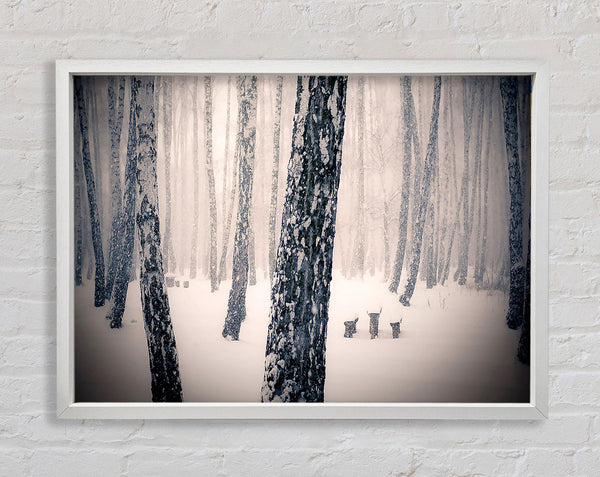Forest Snowing Framed Print