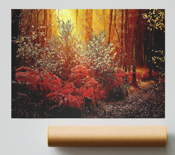 Autumn Forest Print