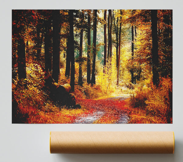 Forest Autumn Path Giclee Print