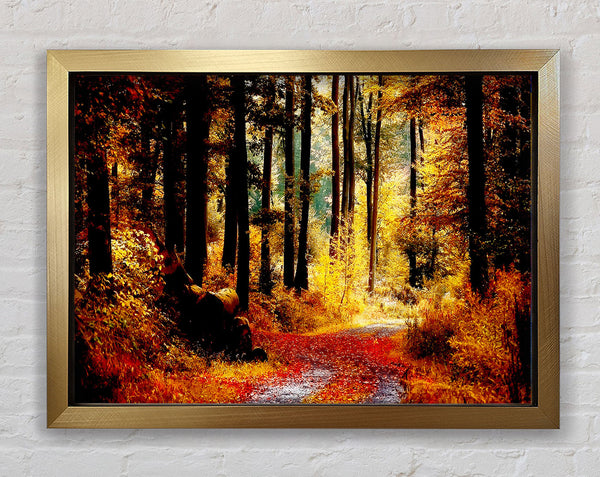 Forest Autumn Path Framed Print