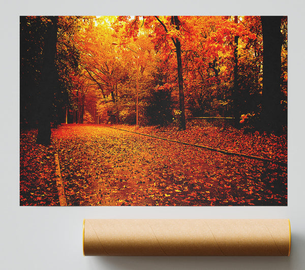Fall In The Orange Forest Poster