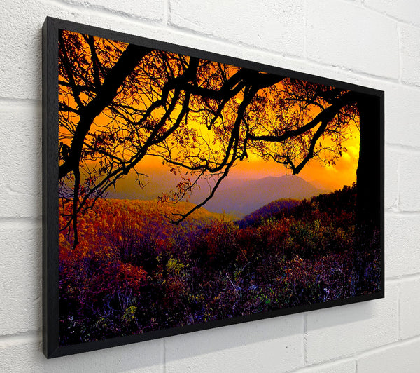 Autumn Dusk