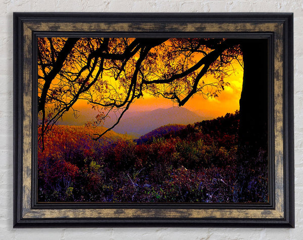 Autumn Dusk Framed Print