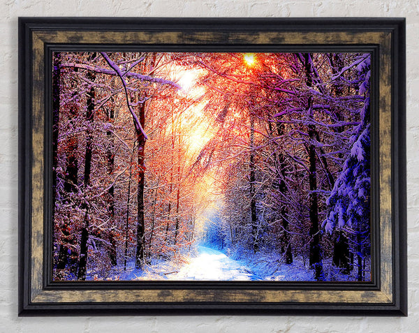 Winter Sun Blaze Framed Print