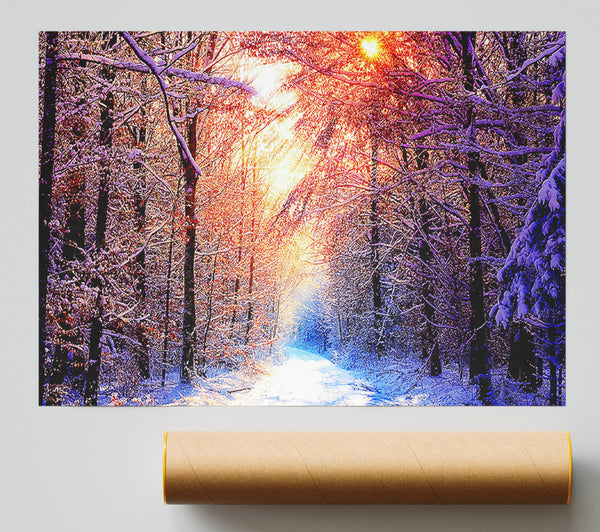 Winter Sun Blaze Giclee Print