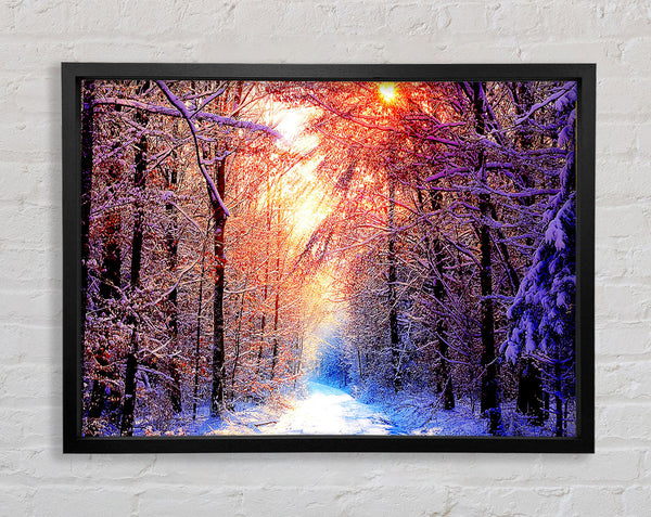 Winter Sun Blaze Framed Print