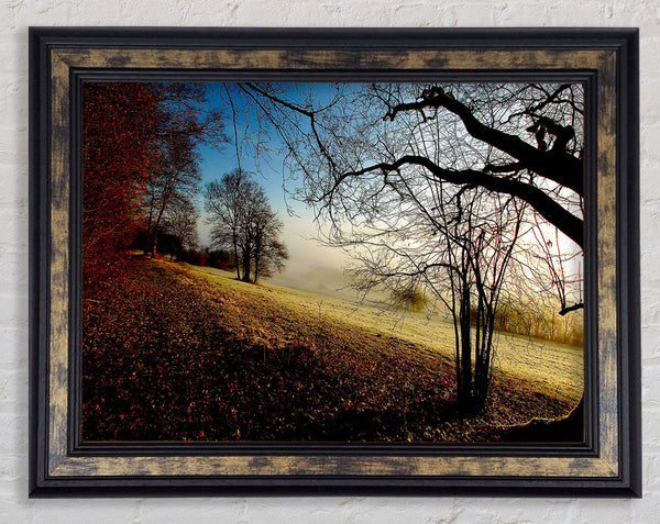Autumn Foggy Morning Framed Print