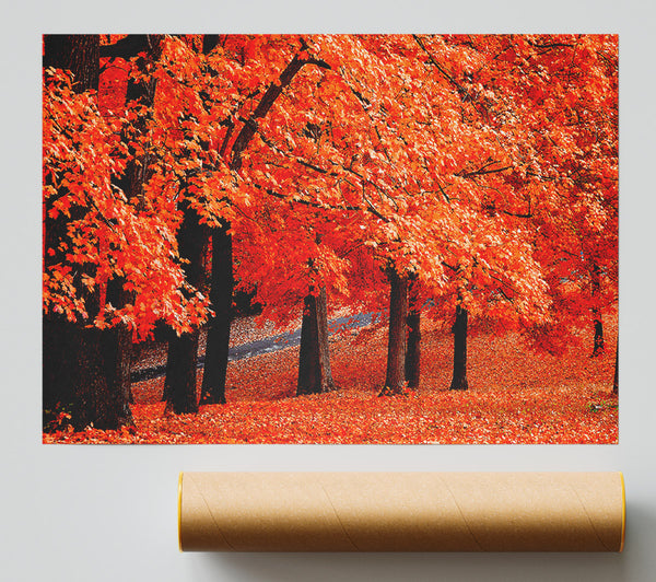 Beautiful Autumn Orange Leaves Giclee Print