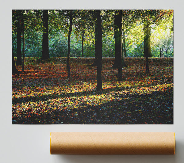 Autumn Light Poster