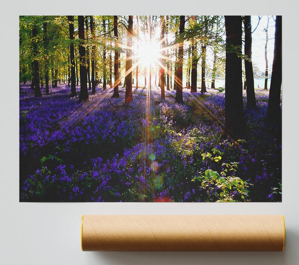 Forest Sun God Print