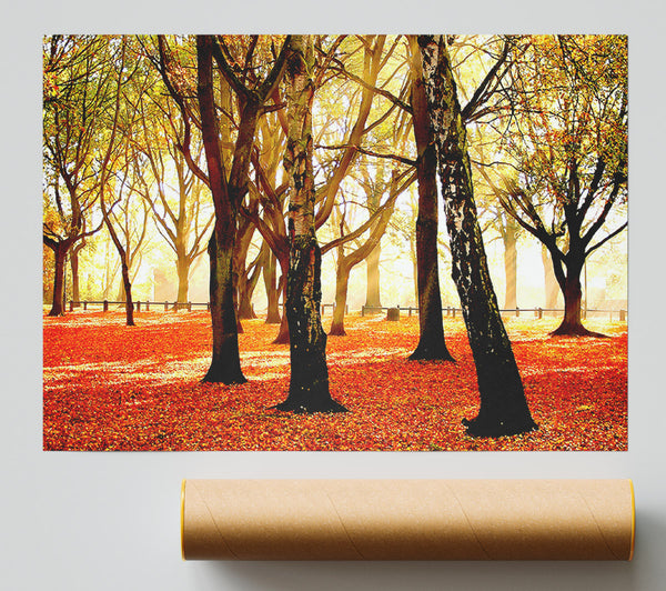 Warm Sunlight Giclee Print