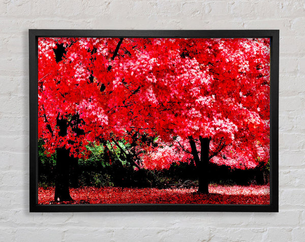 Pink Autumn Leaves Framed Print