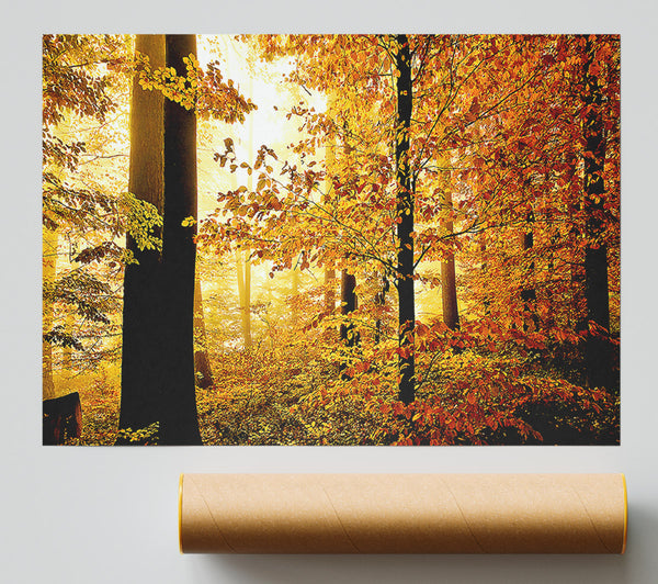 Beautiful Autumn Foliage Print