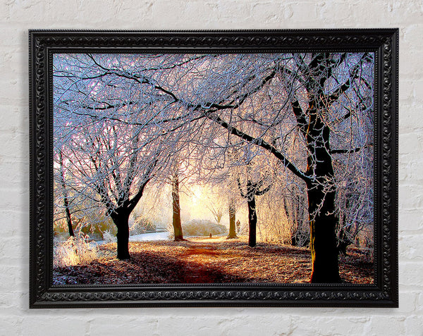 Beautiful Winter Light Framed Print