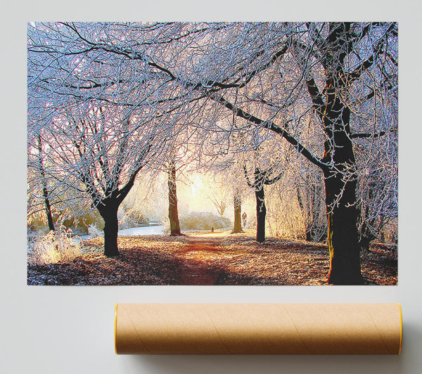 Beautiful Winter Light Poster
