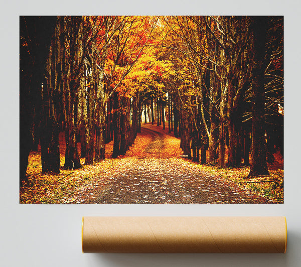 Late Autumn Poster