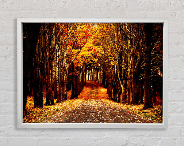 Late Autumn Framed Print