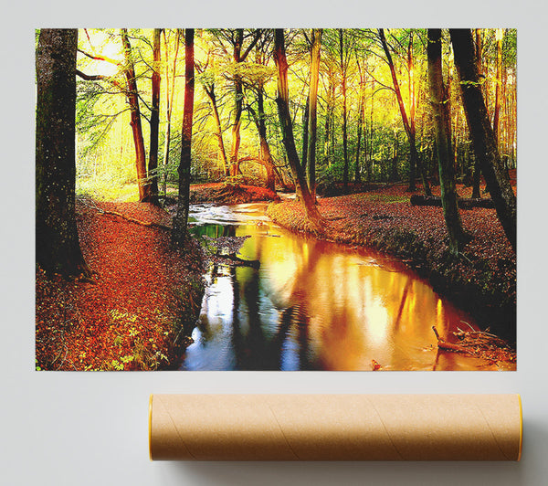 Impressive Autumn Stream Giclee Print