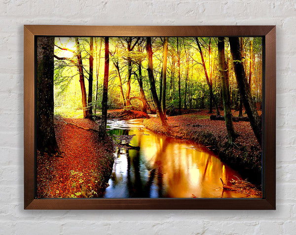Impressive Autumn Stream Framed Print