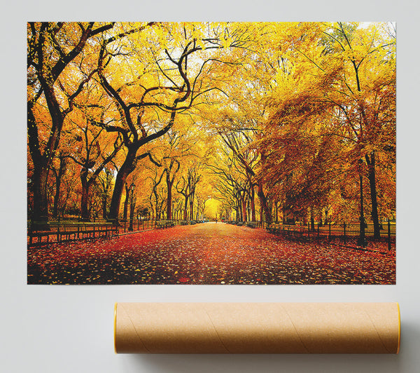 Wide Alley Print