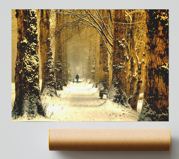 Beautiful Tree Passage Winter Poster