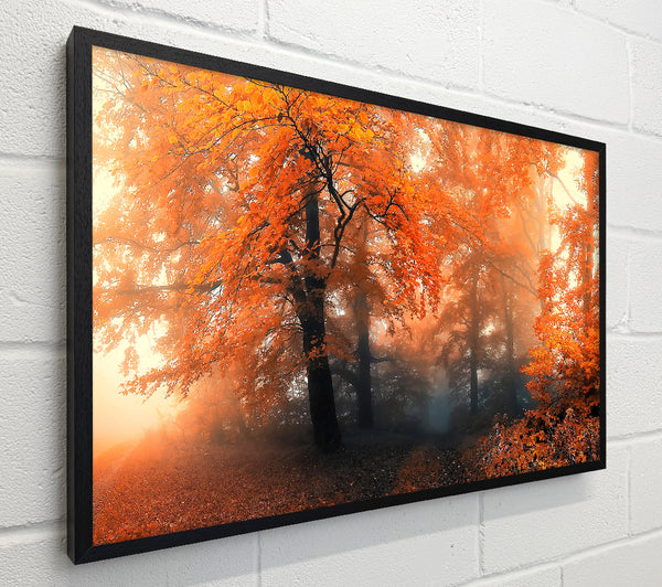 Autumn Orange Mist