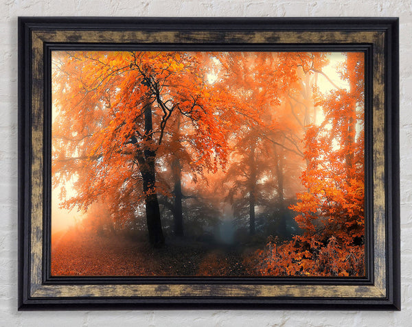 Autumn Orange Mist Framed Print