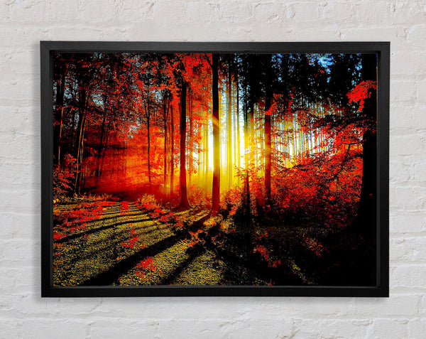 Red Forest Framed Print