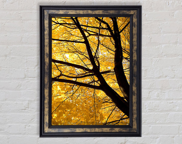 Yellow Autumn Leaves Framed Print