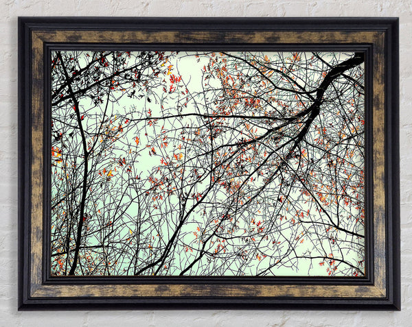 Trees In The Sky Framed Print