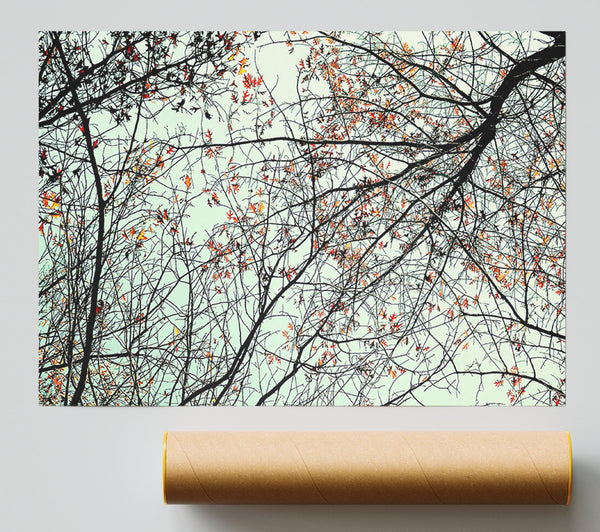 Trees In The Sky Print