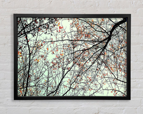 Trees In The Sky Framed Print