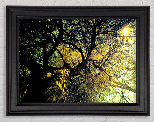 Uralter Baum