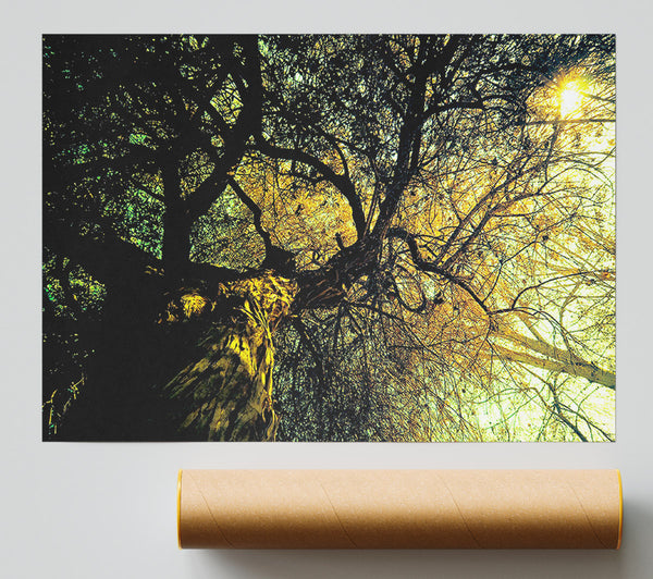 Ancient Tree Print