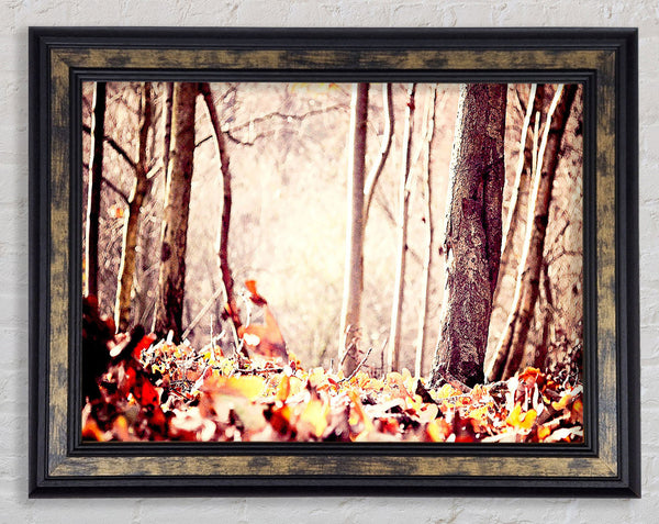 Leaves On The Autumn Ground Framed Print