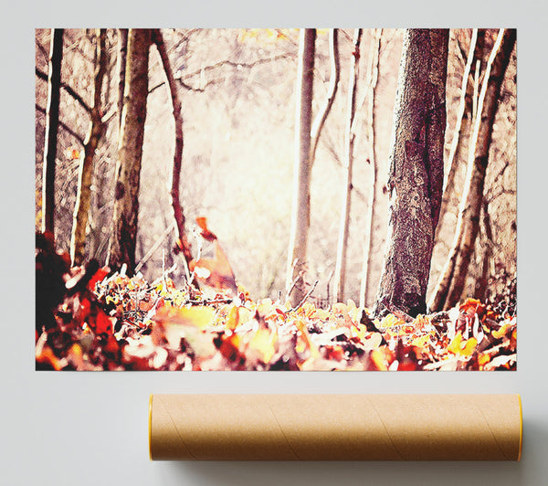 Leaves On The Autumn Ground Poster
