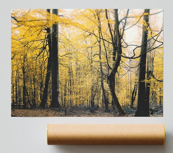 Alone In The Jungle Giclee Print
