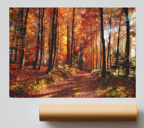 Fall Forest Path Print
