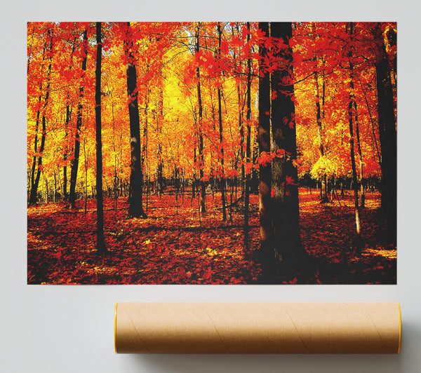 In The Depth Of The Orange Forest Poster