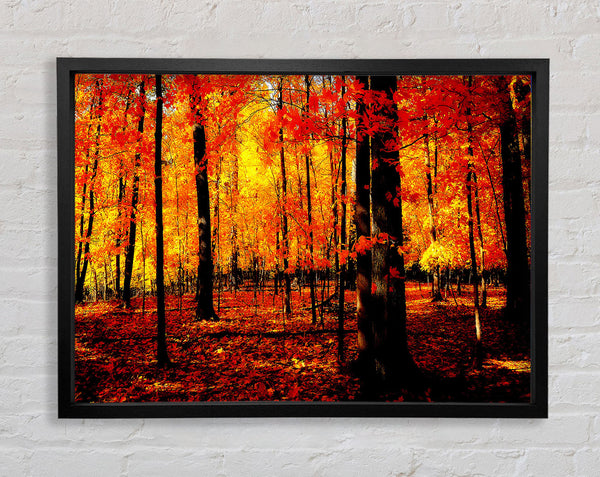 In The Depth Of The Orange Forest Framed Print