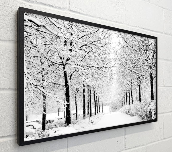 Winter In The Park Black And White