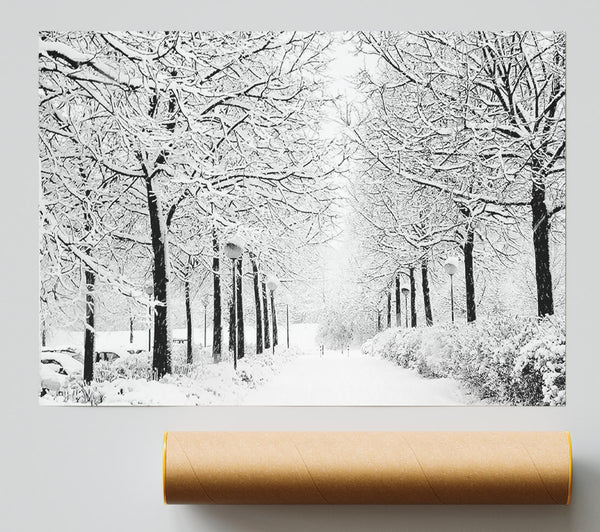 Winter In The Park Black And White Poster