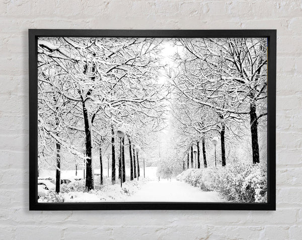 Winter In The Park Black And White Framed Print