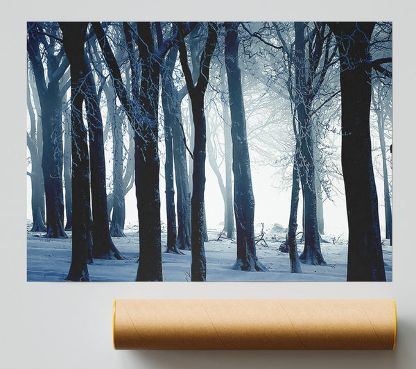 Cold Day Print