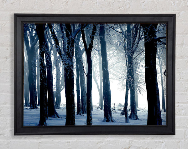 Cold Day Framed Print